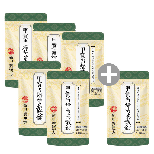 甲賀当帰芍薬散錠 540錠 おまとめ5袋セット＋540錠1袋付き