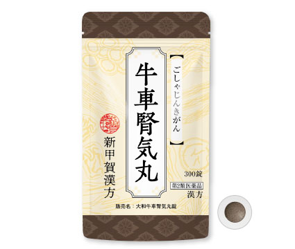 牛車腎気丸　300錠